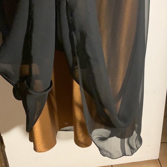 Cache Prom/Evening Gown, Size 4 - Picture 11 of 11